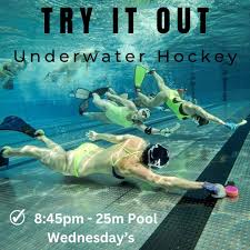 Image result for Underwater Hockey Ireland