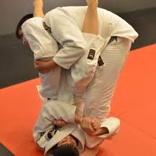 Image result for Red Rose Ju Jitsu Club
