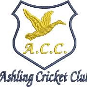 Image result for Portsmouth Community Cricket Club