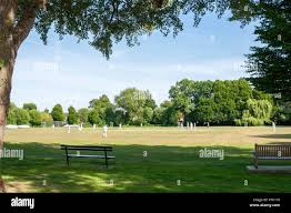 Image result for Wraysbury Cricket Club
