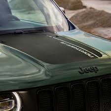 Image result for Teesside Renegades