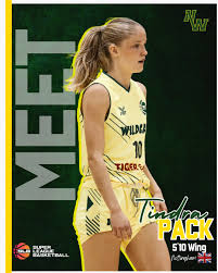 Image result for Nottingham Wildcats