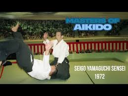 Image result for Basingstoke Aikido Club
