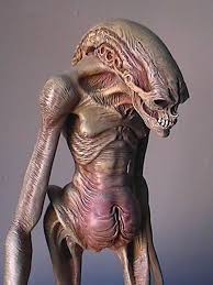 Image result for xenomorph