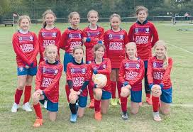 Image result for Hassocks Ladies FC