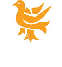 Image result for Penwortham Cricket Club