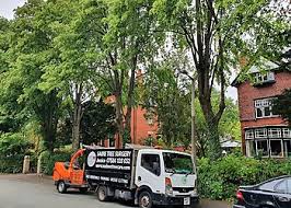 Image result for Stockport Sabres