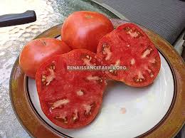 Afbeeldingsresultaat voor kosmonaut volkov 68D tomato