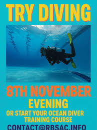 Image result for Reading Bsac