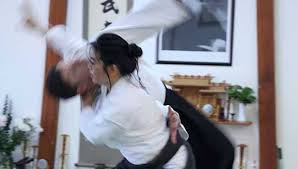 Image result for Iwama Shin Shin Aiki Shuren Kai