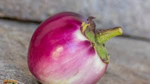 Afbeeldingsresultaat voor slim jim eggplant