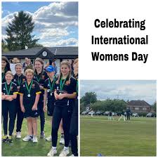 Image result for Ballinger Waggoners Cricket Club