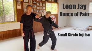 Image result for Komaru Ryu Small Circle Jujitsu/Karate