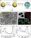 Right Cu2−xS@MnS Core–Shell Nanoparticles as a Photo/H2O2 ...