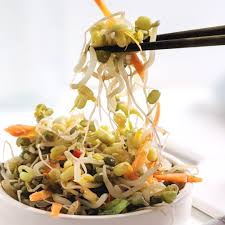 Image result for bean sprout