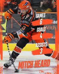 Image result for Sheffield Steelers