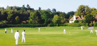 Image result for Hambledon Cricket Club