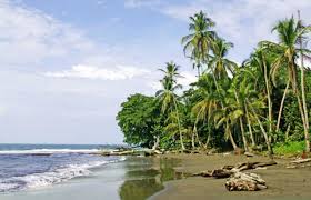 Image result for cahuita costa rica