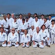 Image result for Excalibur Shotokan Karate Club