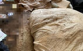 Image result for 自宅突然死 単身世帯