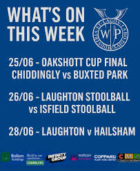 Image result for Laughton Cricket Club