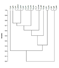 Attēlu rezultāti vaicājumam “Rhabdoweisia fugax”