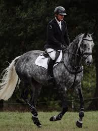 Image result for Jp-Sheffield Eventing