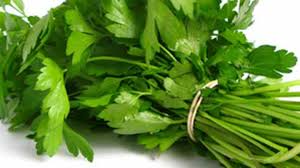 Image result for Kerbel