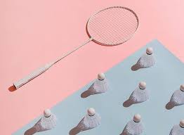 Image result for Littlehampton Badminton & Squash Club