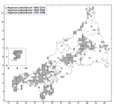 Attēlu rezultāti vaicājumam “Hypnum jutlandicum”