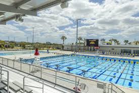 Image result for Selby Tiger Sharks Swimming Club