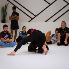 Image result for Team Renegade BJJ & Judo