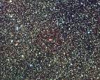 APOD: 2002 July 15 - Proxima Centauri: The Closest Star