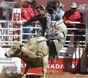 Calgary Stampede | Twin Gables