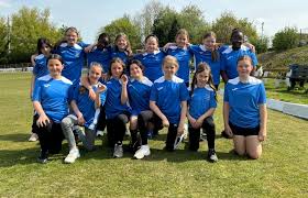 Image result for Lowerhouse Cricket Club