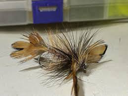 Image result for Crocked Pushers