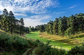 Image result for Hindhead Golf Club