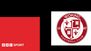 Image result for Woking Korfball Club