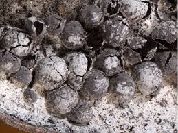 Attēlu rezultāti vaicājumam “Diderma spumarioides”