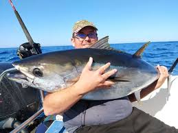 Image result for Thunnus maccoyii