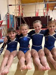 Image result for Lincoln Gymnastics Club