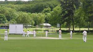 Image result for Caterham Cricket Club