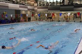 Image result for Selby Tiger Sharks Swimming Club