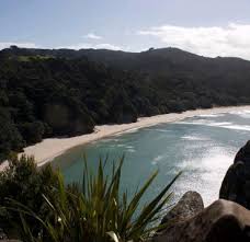 Image result for new chums beach