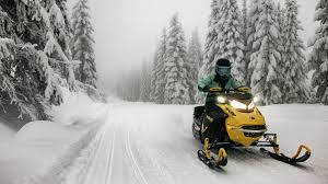 Image result for snowmobile