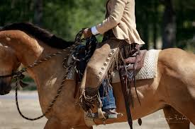 Image result for Fisher Equestrian