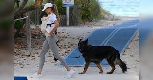 Image result for Ergo Baby Carrier Gisele Bundchen and Benjamin Brady