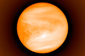 Image result for venus