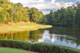 Image result for Overton RFC Club