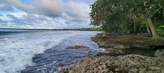 Image result for cahuita costa rica